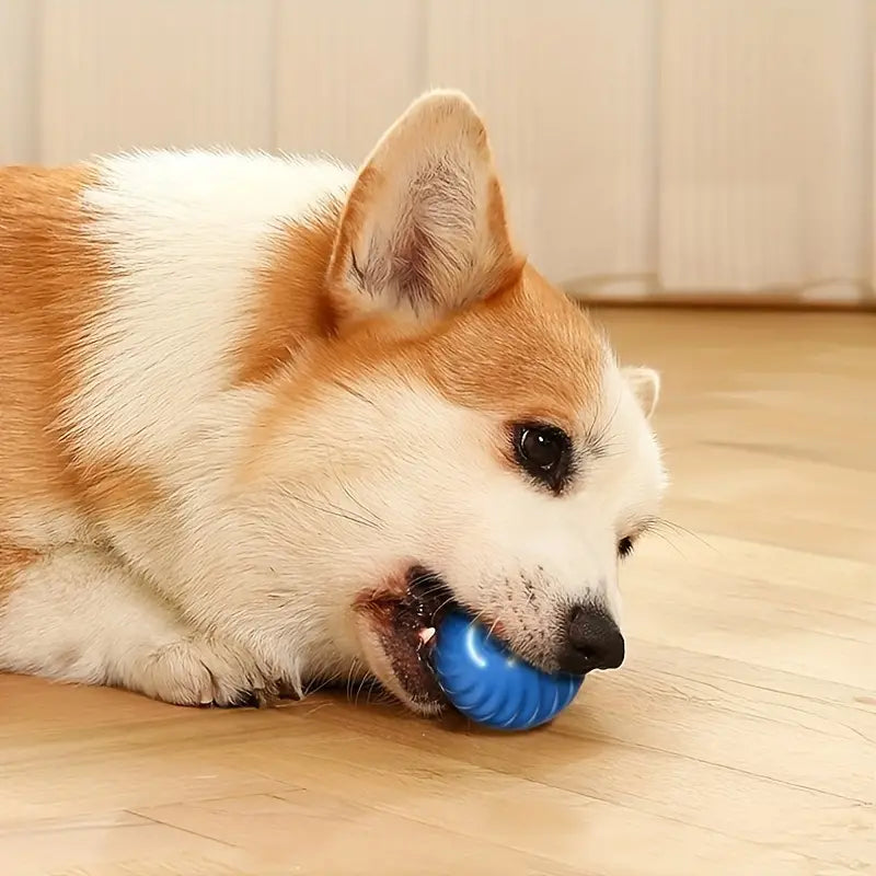 Automatic Rolling Jumping Ball Toy, Dog Chew Ball Toy