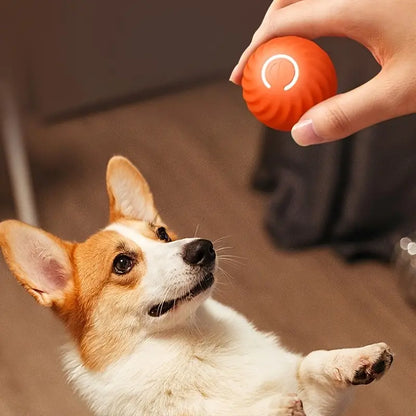Automatic Rolling Jumping Ball Toy, Dog Chew Ball Toy